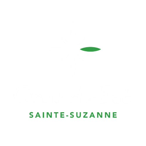 Carrefour Grand Est